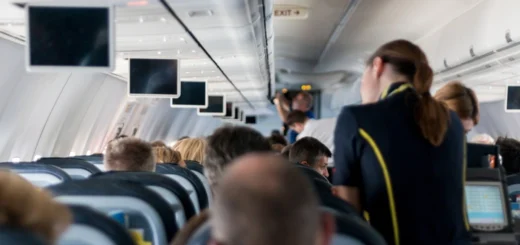 flight attendant